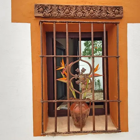 Mezquita De