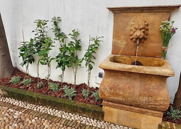 Διαμέρισμα Mezquita De *