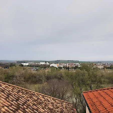 Mezquita De